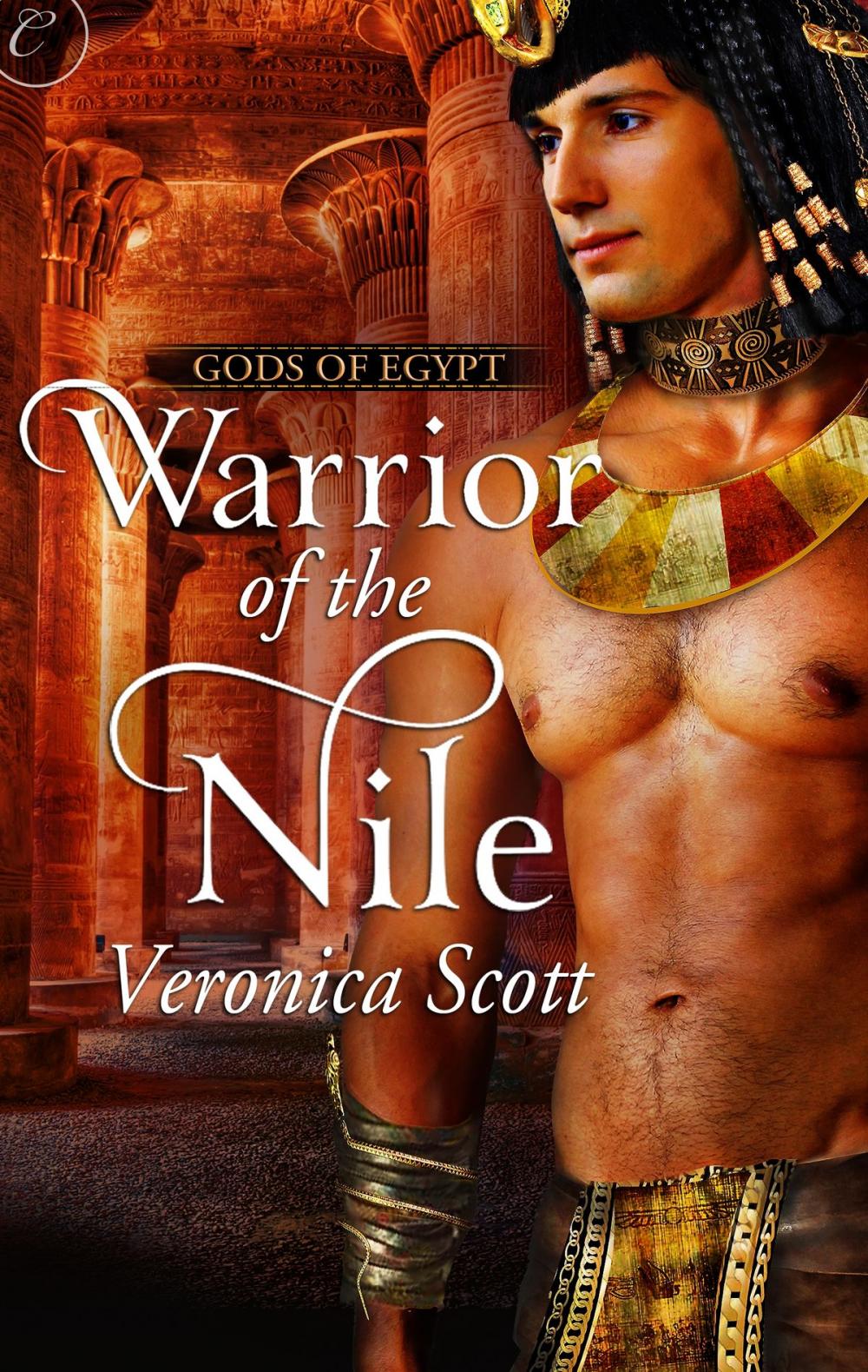 Big bigCover of Warrior of the Nile