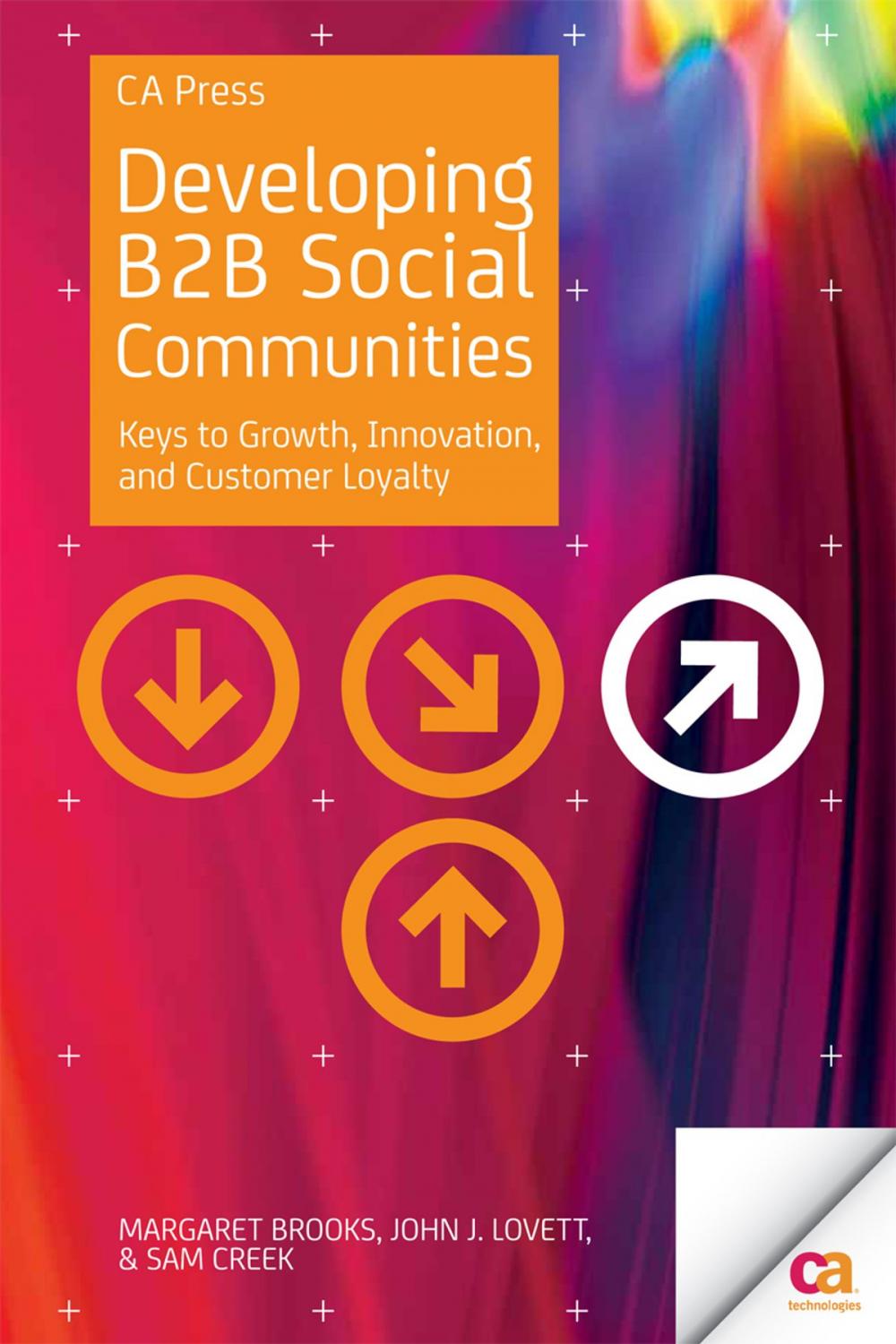 Big bigCover of Developing B2B Social Communities