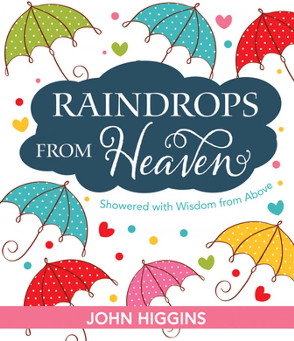 Big bigCover of Raindrops from Heaven (eBook)