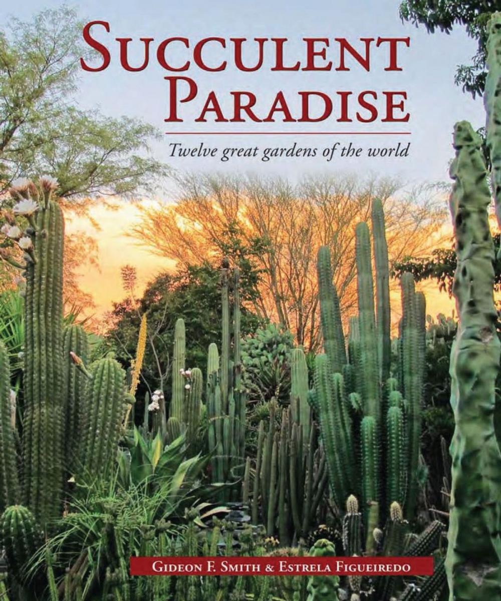 Big bigCover of Succulent Paradise – Twelve great gardens of the world