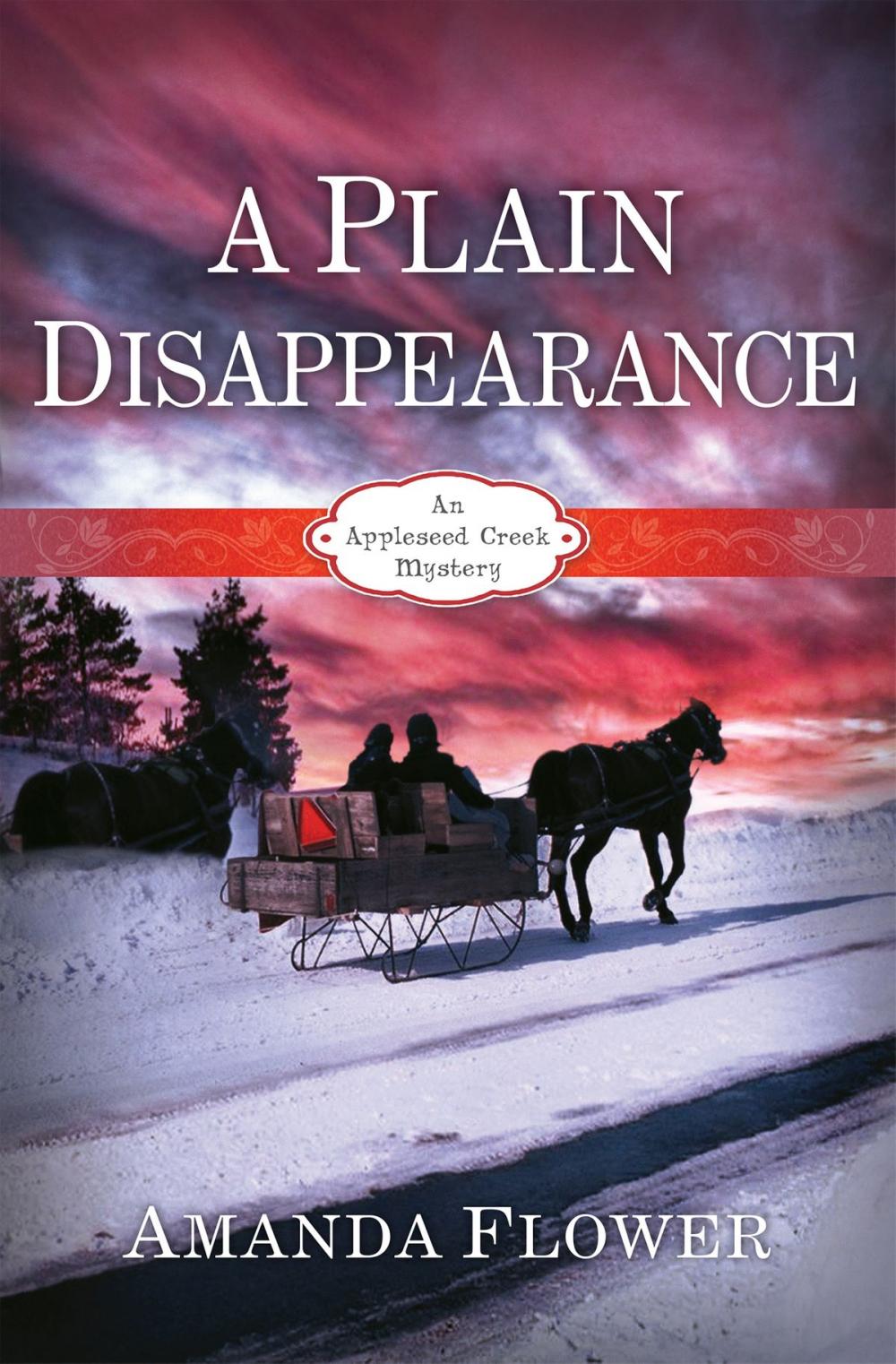 Big bigCover of A Plain Disappearance