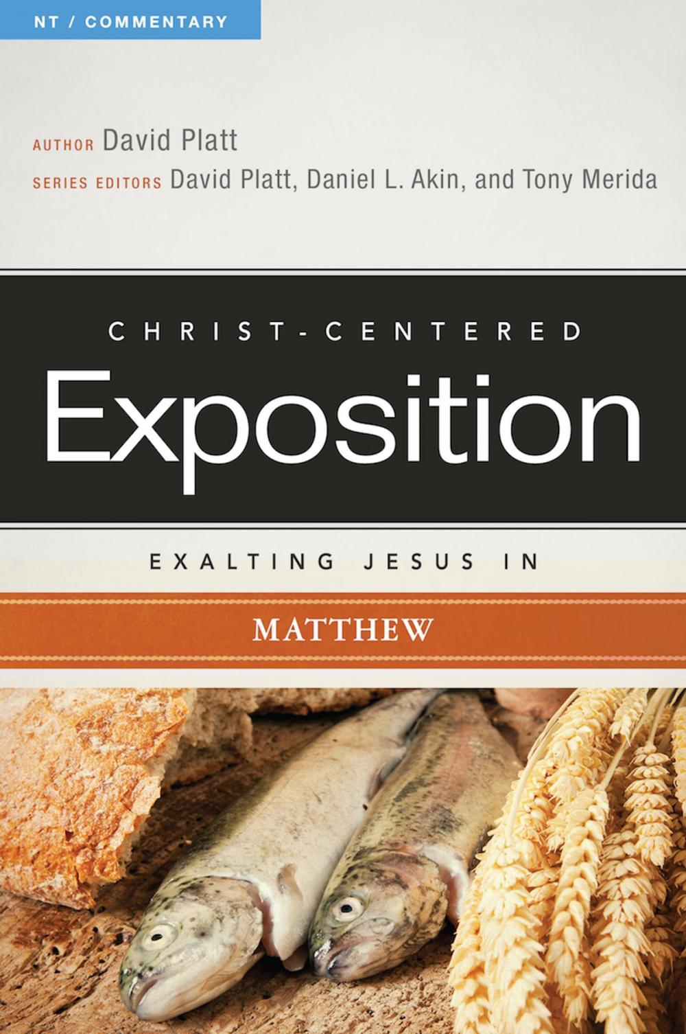 Big bigCover of Exalting Jesus in Matthew