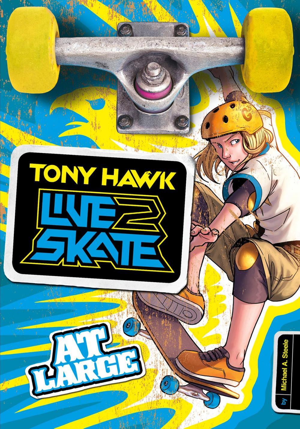 Big bigCover of Tony Hawk: At Large