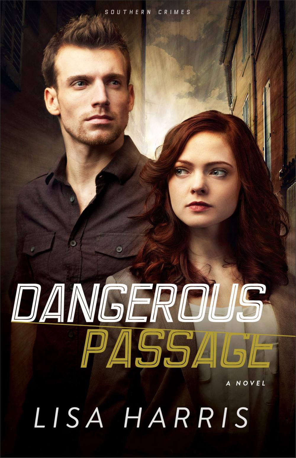 Big bigCover of Dangerous Passage (Southern Crimes Book #1)