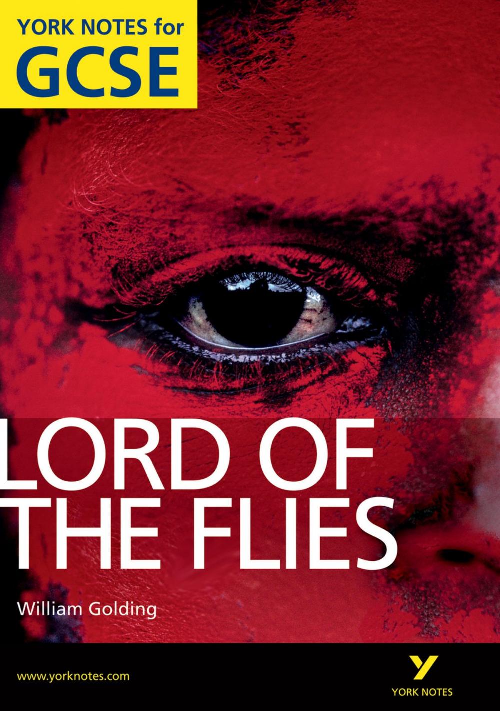 Big bigCover of Lord of The Flies: York Notes for GCSE