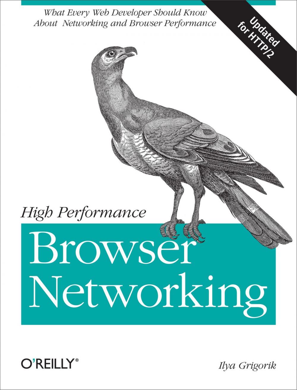 Big bigCover of High Performance Browser Networking