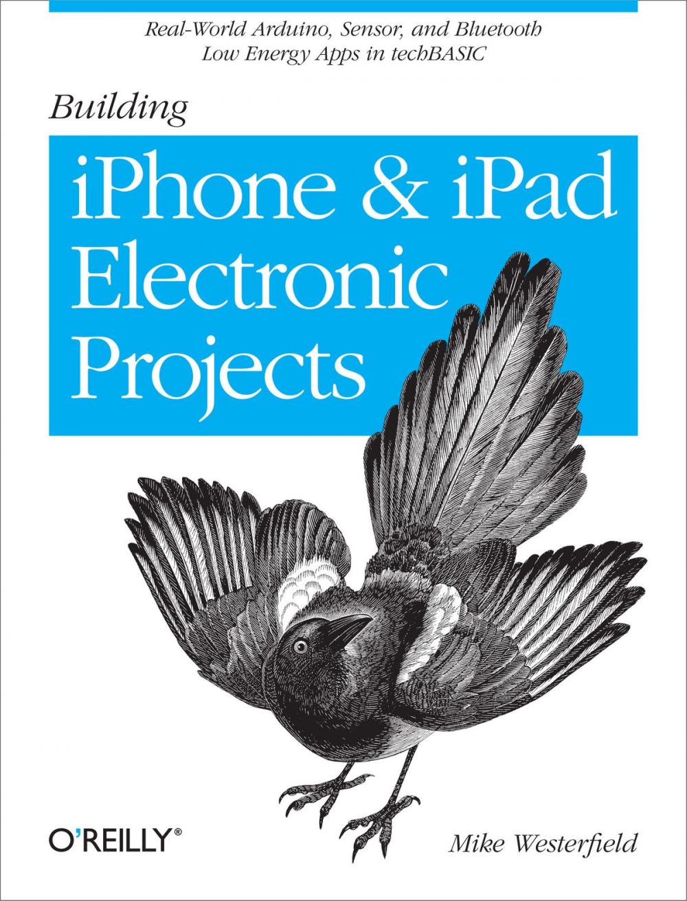 Big bigCover of Building iPhone and iPad Electronic Projects