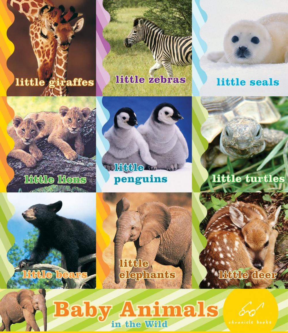 Big bigCover of Baby Animals in the Wild