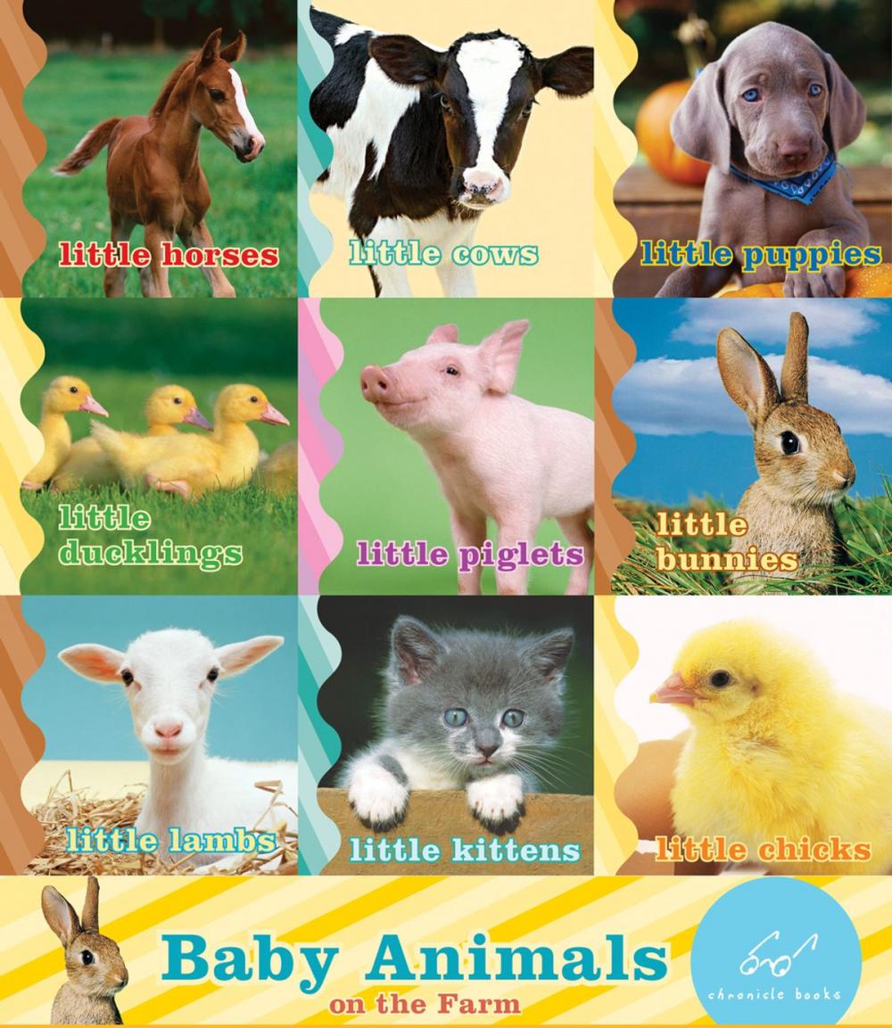 Big bigCover of Baby Animals on the Farm