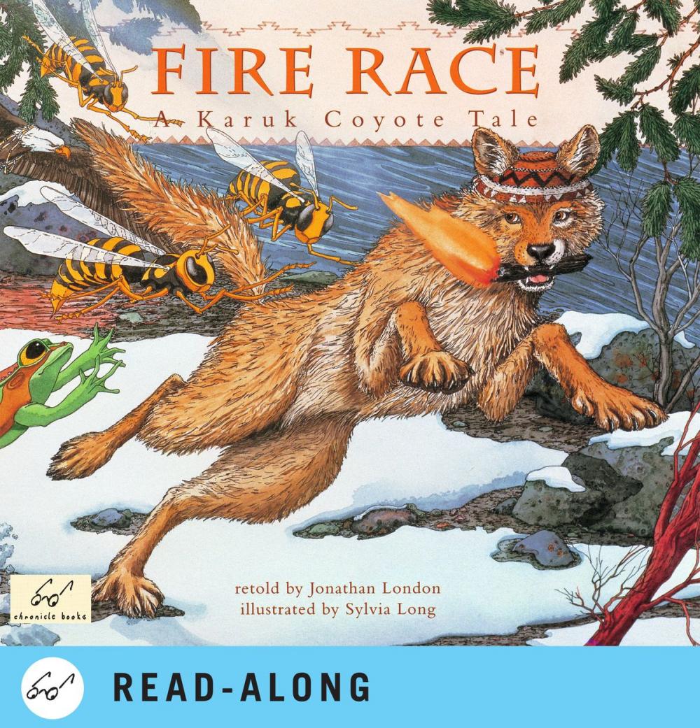 Big bigCover of Fire Race