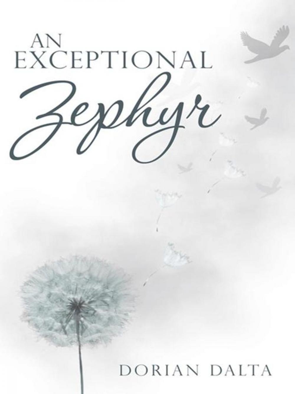 Big bigCover of An Exceptional Zephyr
