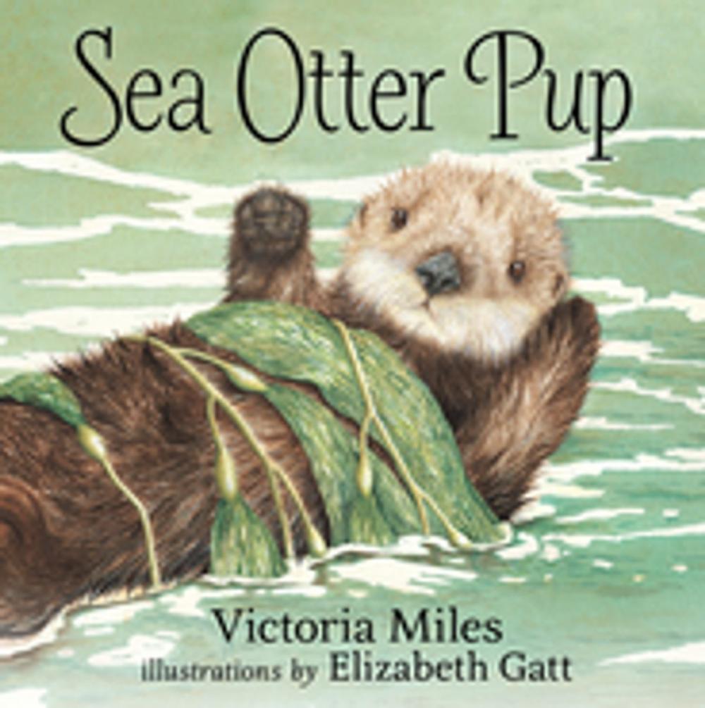 Big bigCover of Sea Otter Pup