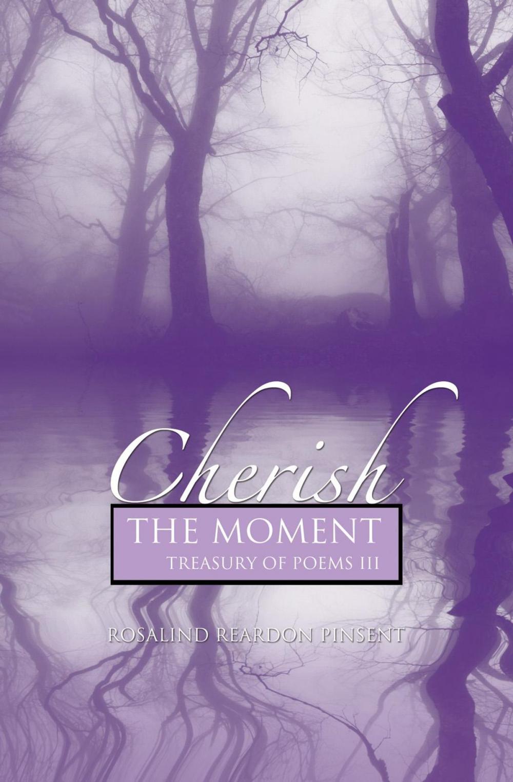 Big bigCover of Cherish the Moment