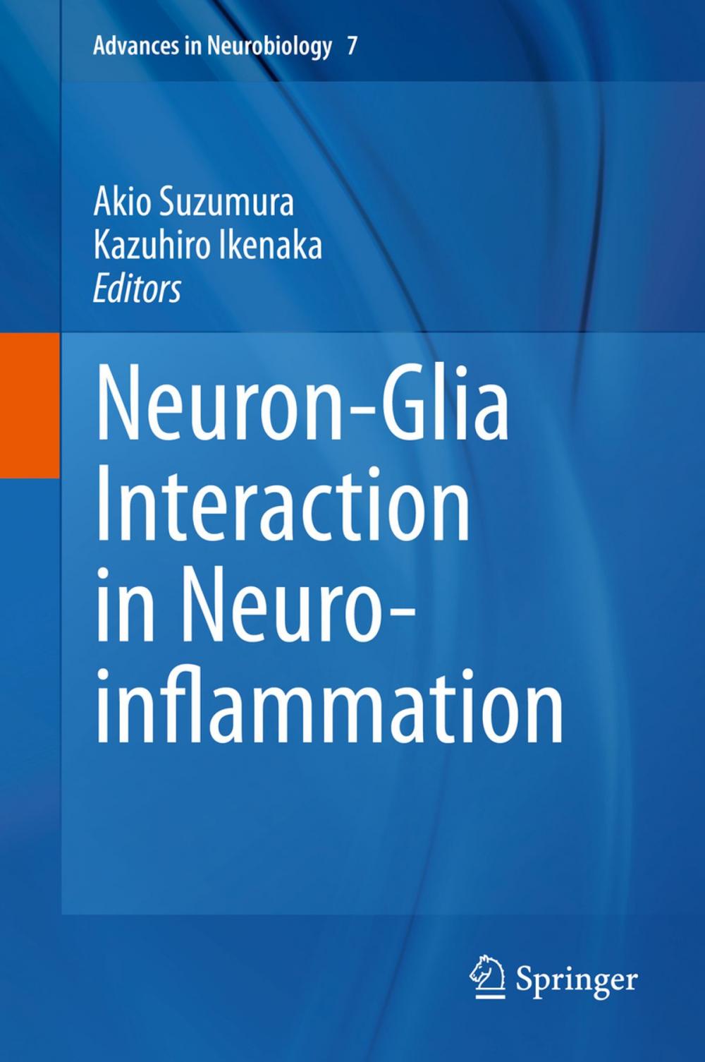 Big bigCover of Neuron-Glia Interaction in Neuroinflammation