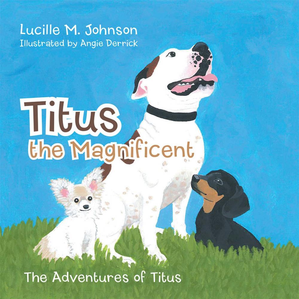 Big bigCover of Titus the Magnificent