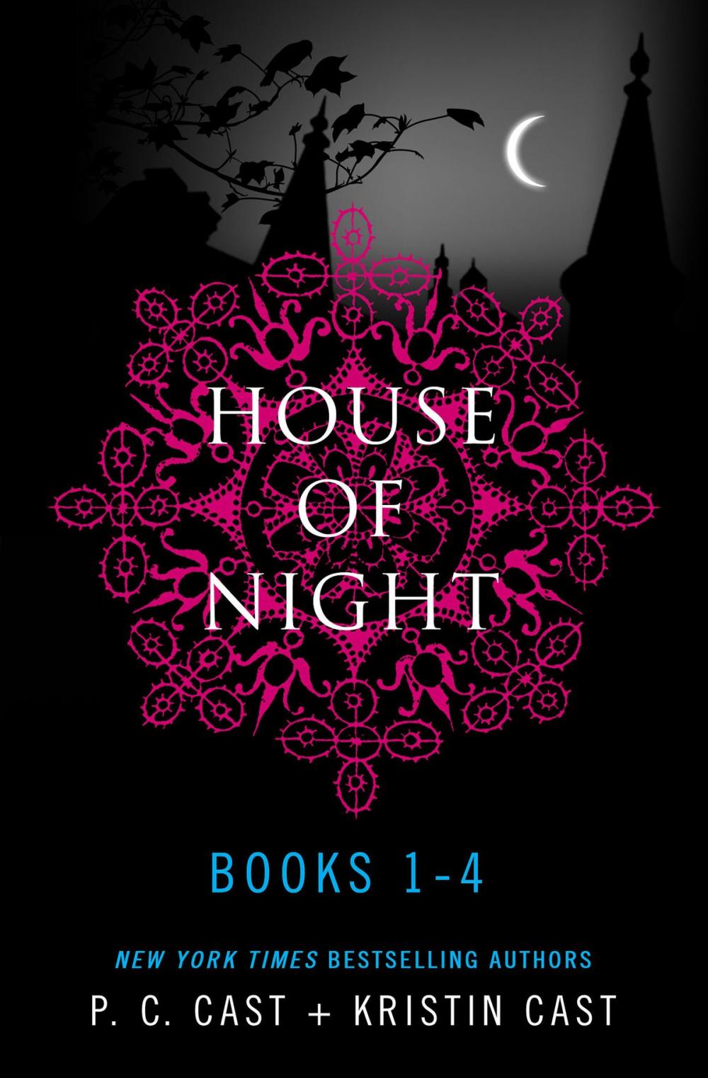 Big bigCover of House of Night Series Books 1-4