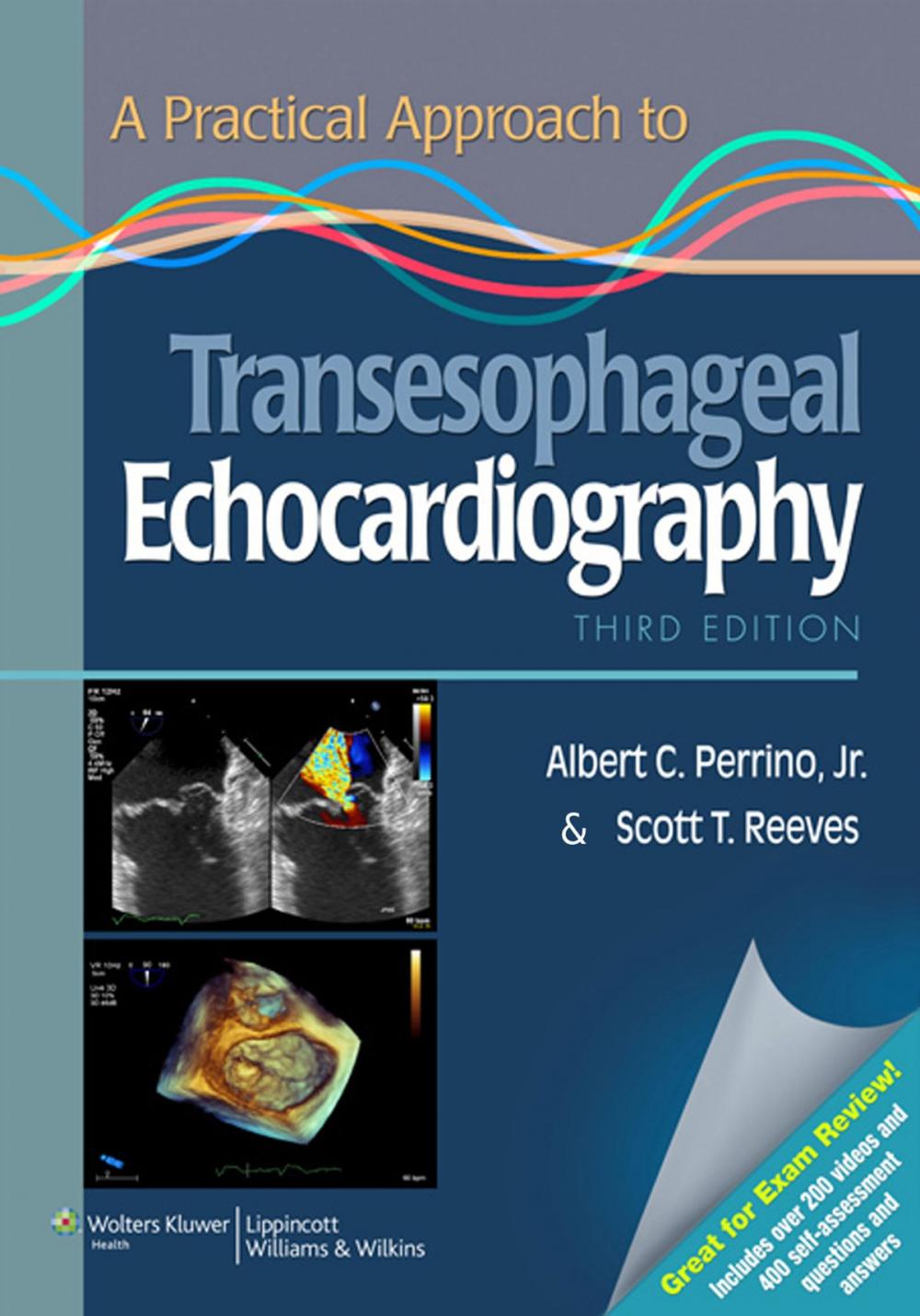 Big bigCover of A Practical Approach to Transesophageal Echocardiography