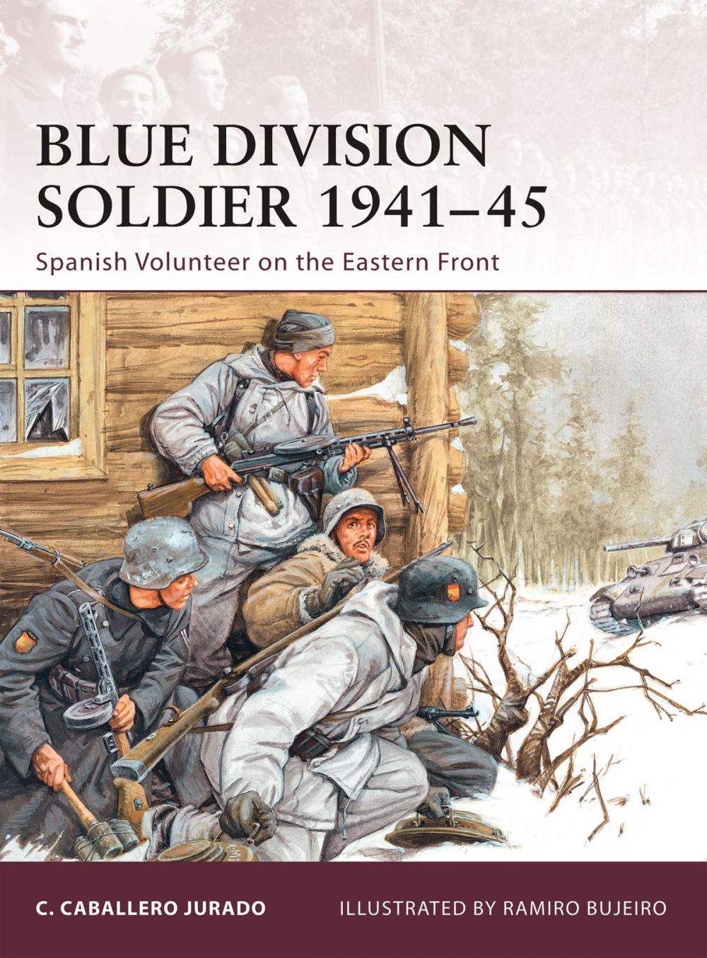 Big bigCover of Blue Division Soldier 1941–45