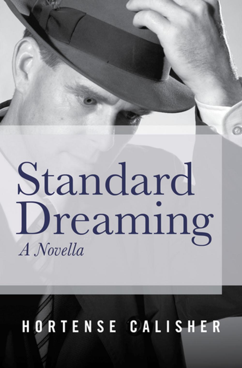 Big bigCover of Standard Dreaming