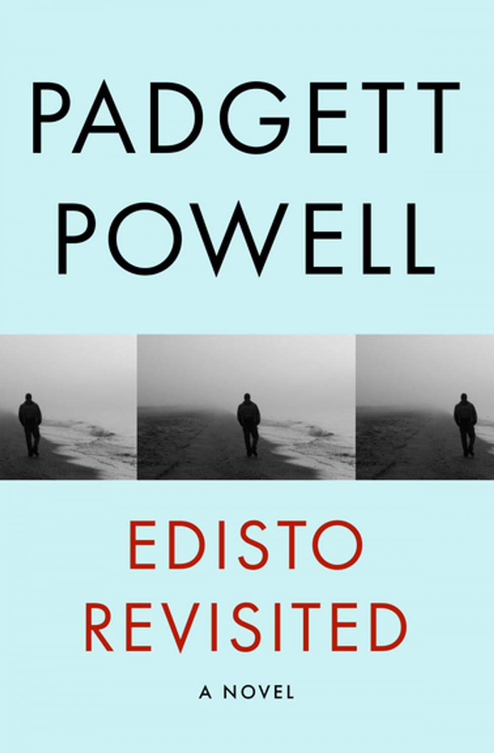 Big bigCover of Edisto Revisited