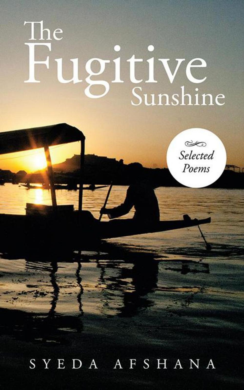 Big bigCover of The Fugitive Sunshine