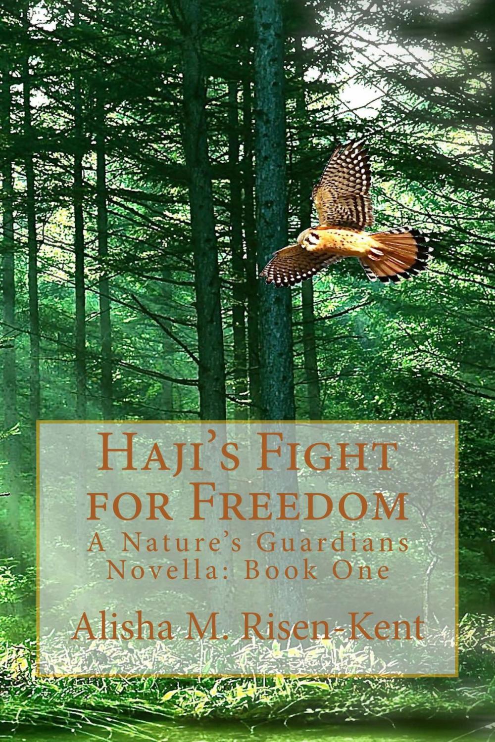 Big bigCover of Haji's Fight For Freedom