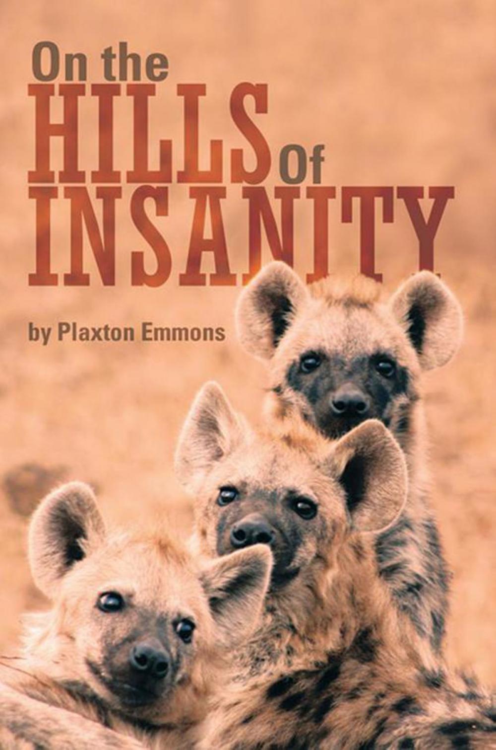 Big bigCover of On the Hills of Insanity