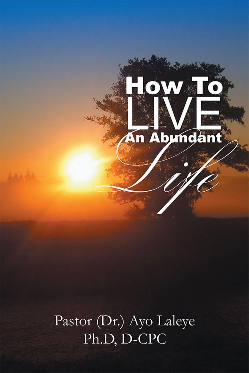 Big bigCover of How to Live an Abundant Life