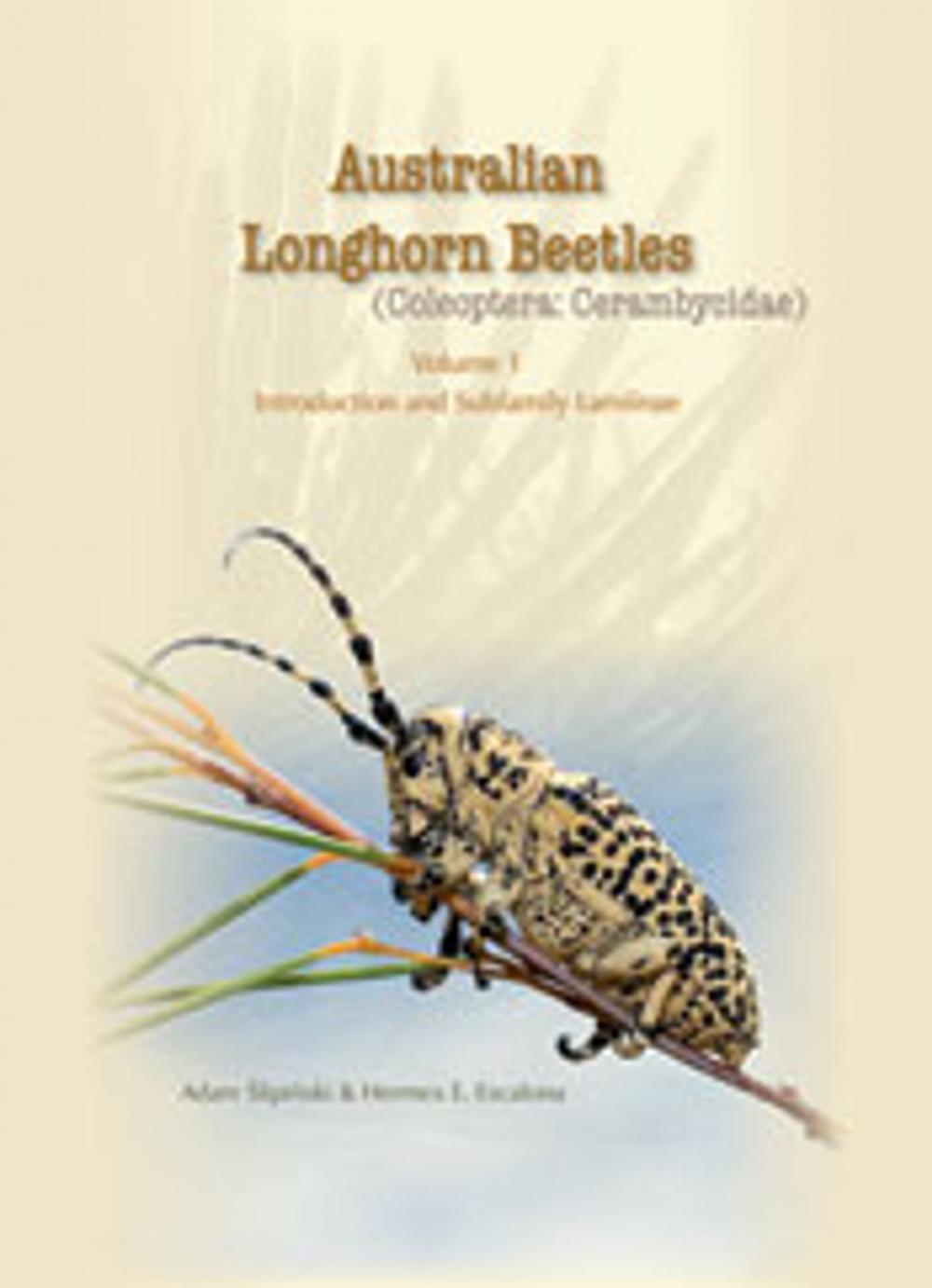 Big bigCover of Australian Longhorn Beetles (Coleoptera: Cerambycidae) Volume 1