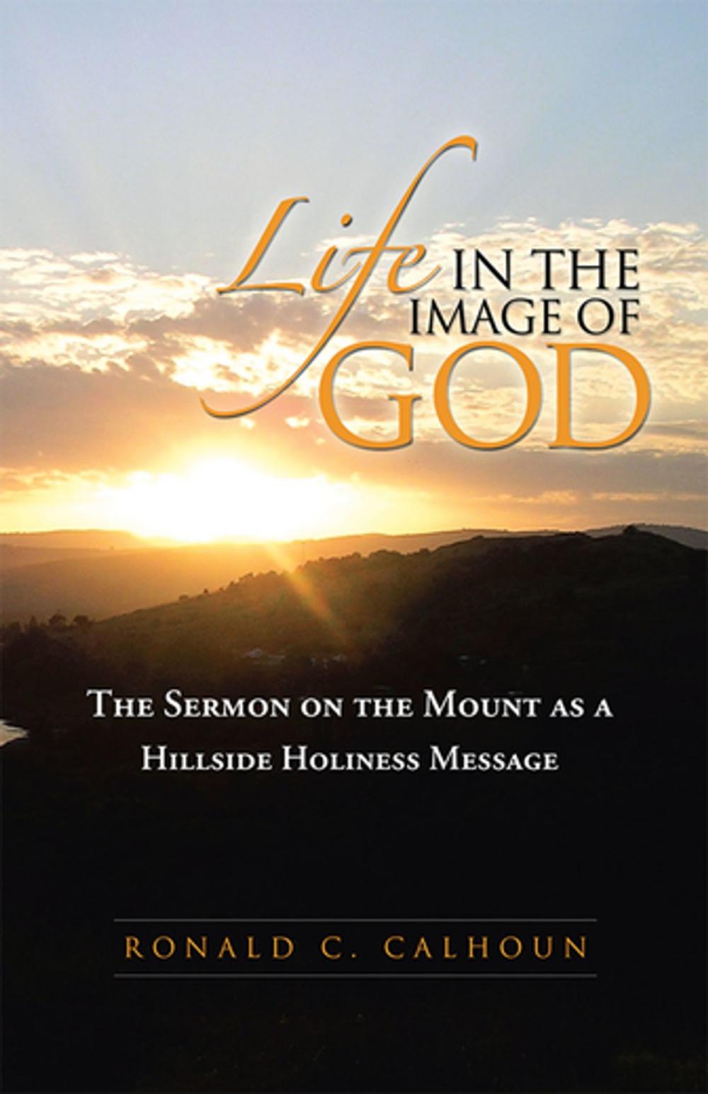 Big bigCover of Life in the Image of God