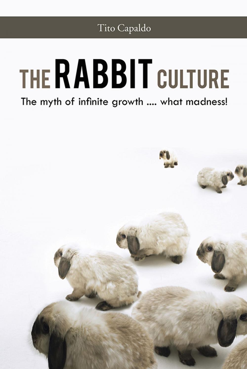 Big bigCover of The Rabbit Culture