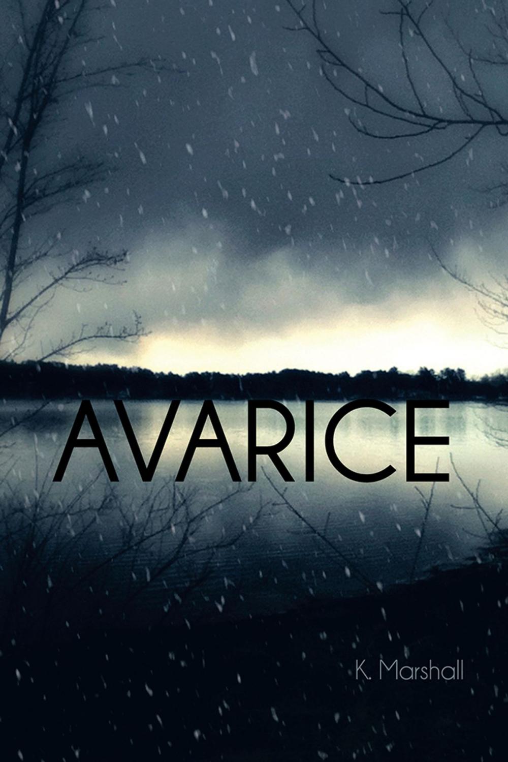 Big bigCover of Avarice