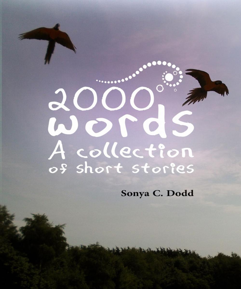 Big bigCover of 2000 Words A Collection of Short Stories