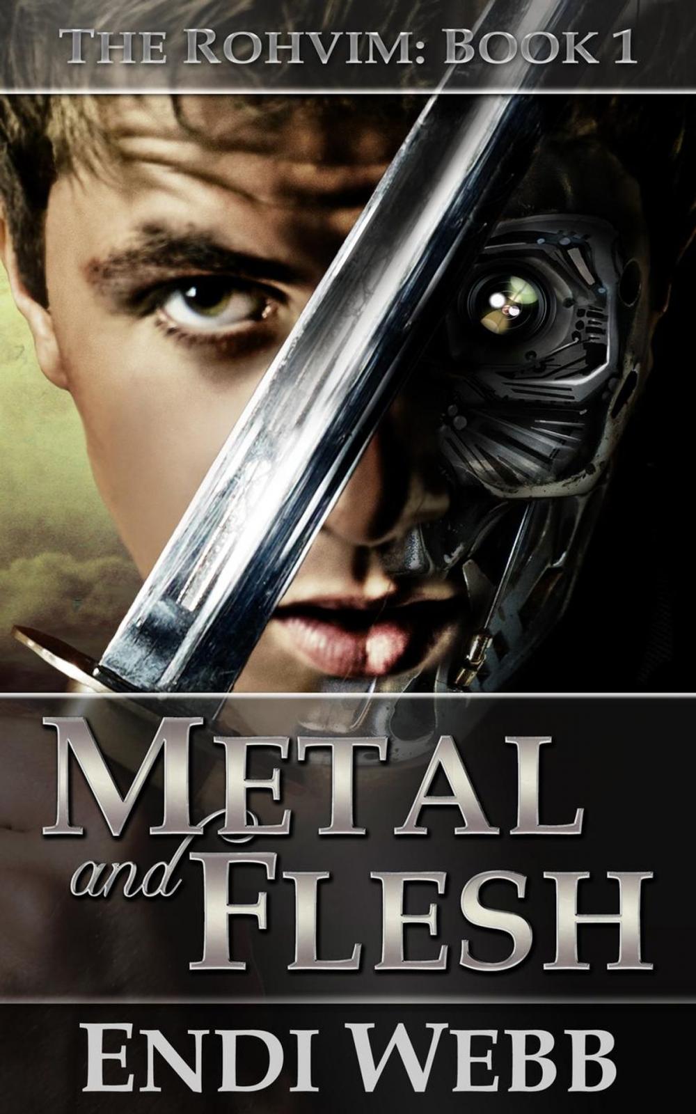 Big bigCover of The Rohvim Book 1: Metal and Flesh