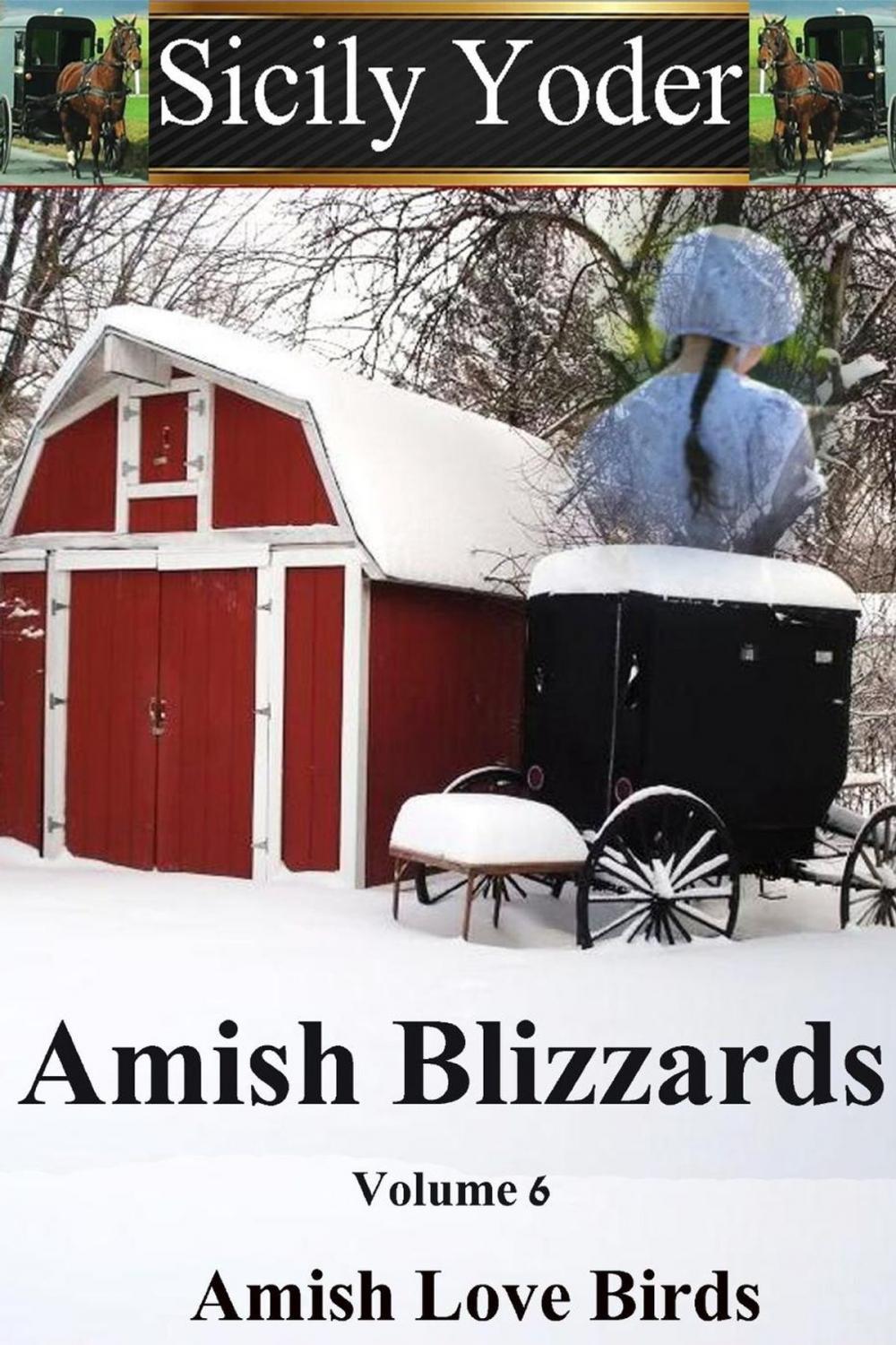 Big bigCover of Amish Blizzards: Volume Six: Amish Love Birds