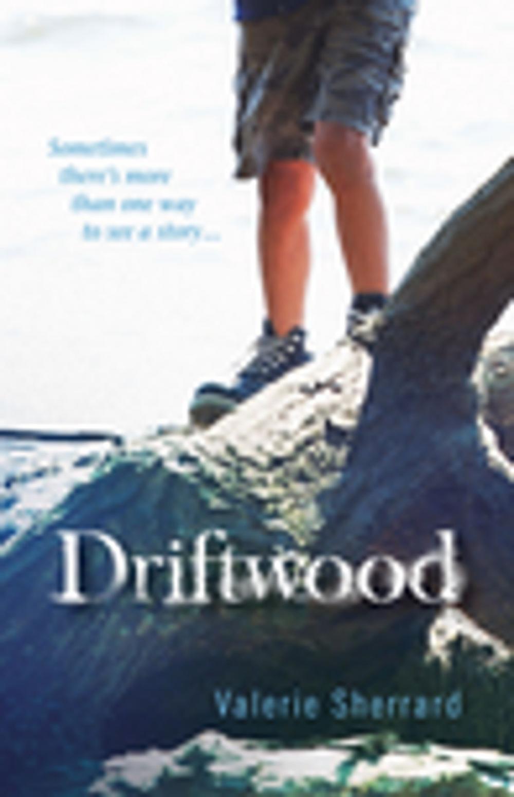 Big bigCover of Driftwood