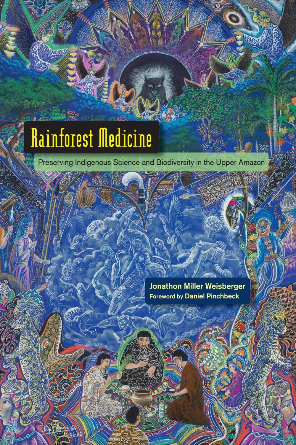 Big bigCover of Rainforest Medicine