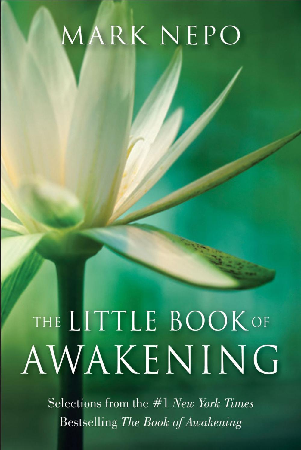 Big bigCover of The Little Book of Awakening