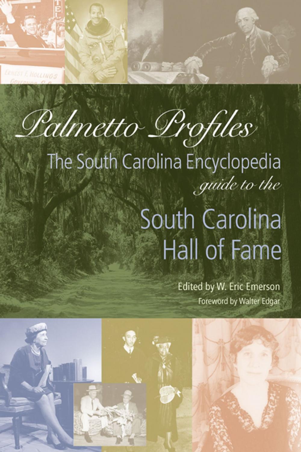 Big bigCover of Palmetto Profiles