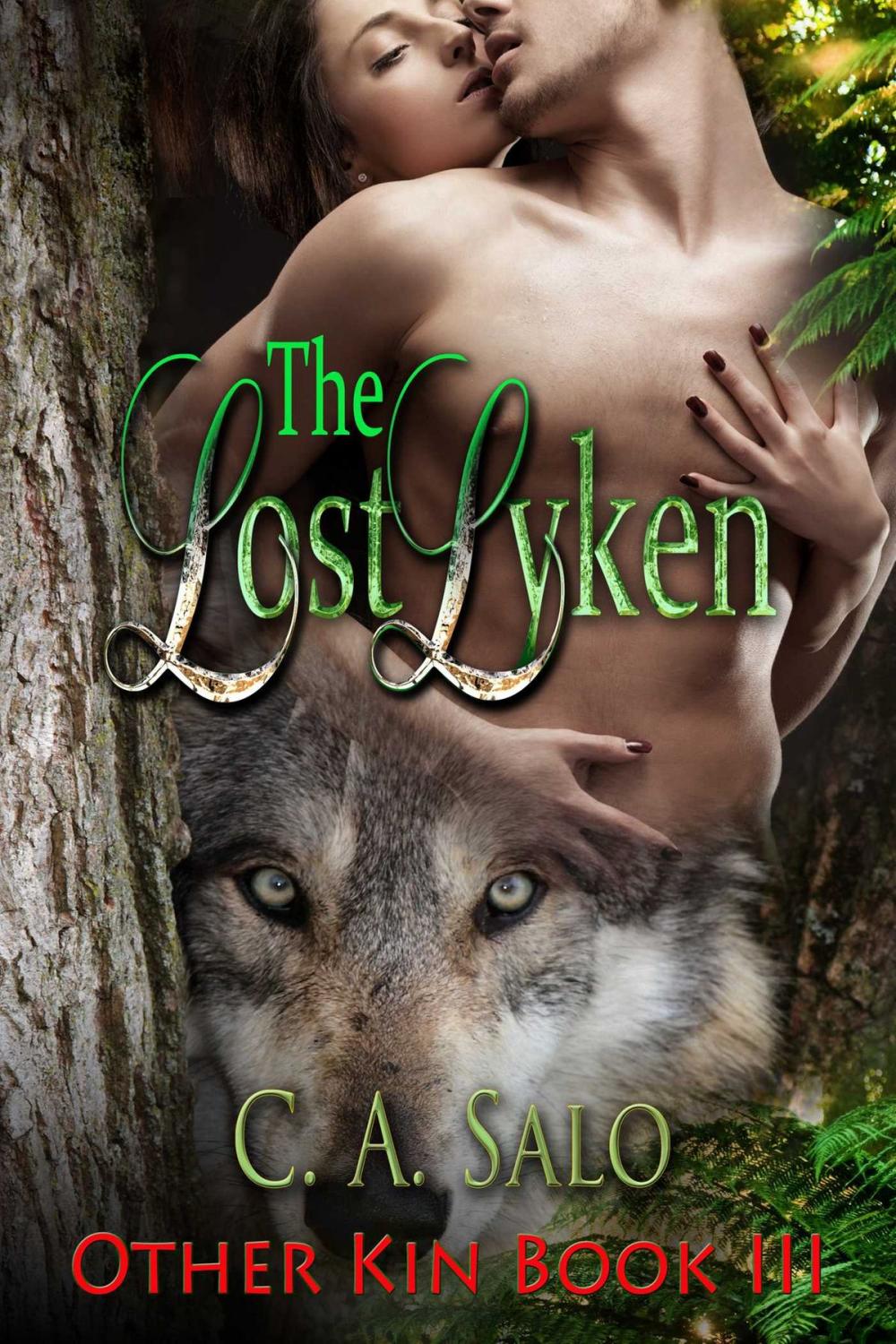 Big bigCover of The Lost Lyken