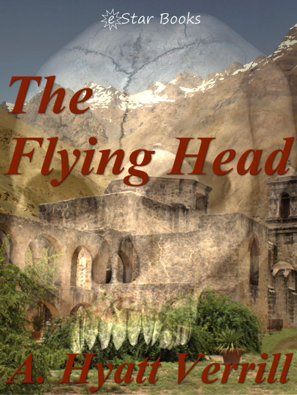 Big bigCover of The Flying Head