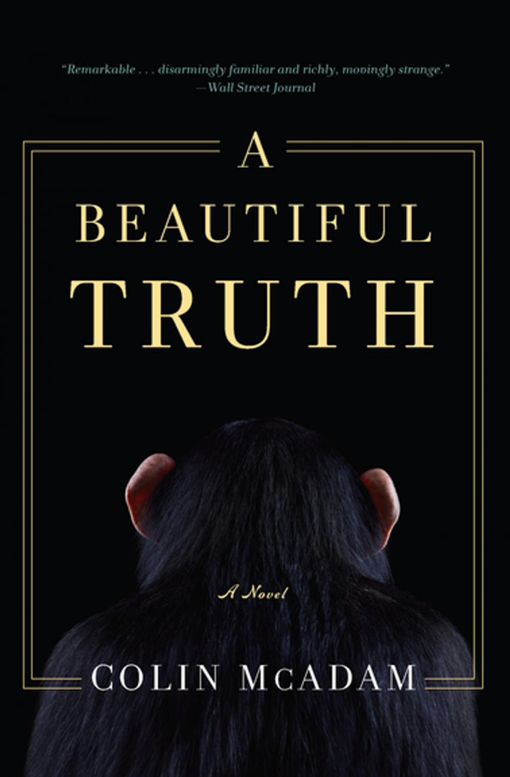 Big bigCover of A Beautiful Truth