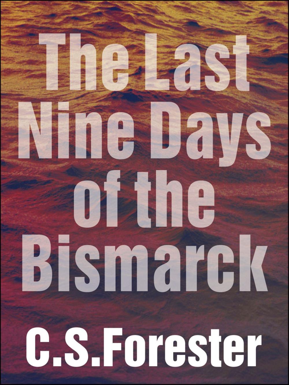 Big bigCover of The Last Nine Days of the Bismarck