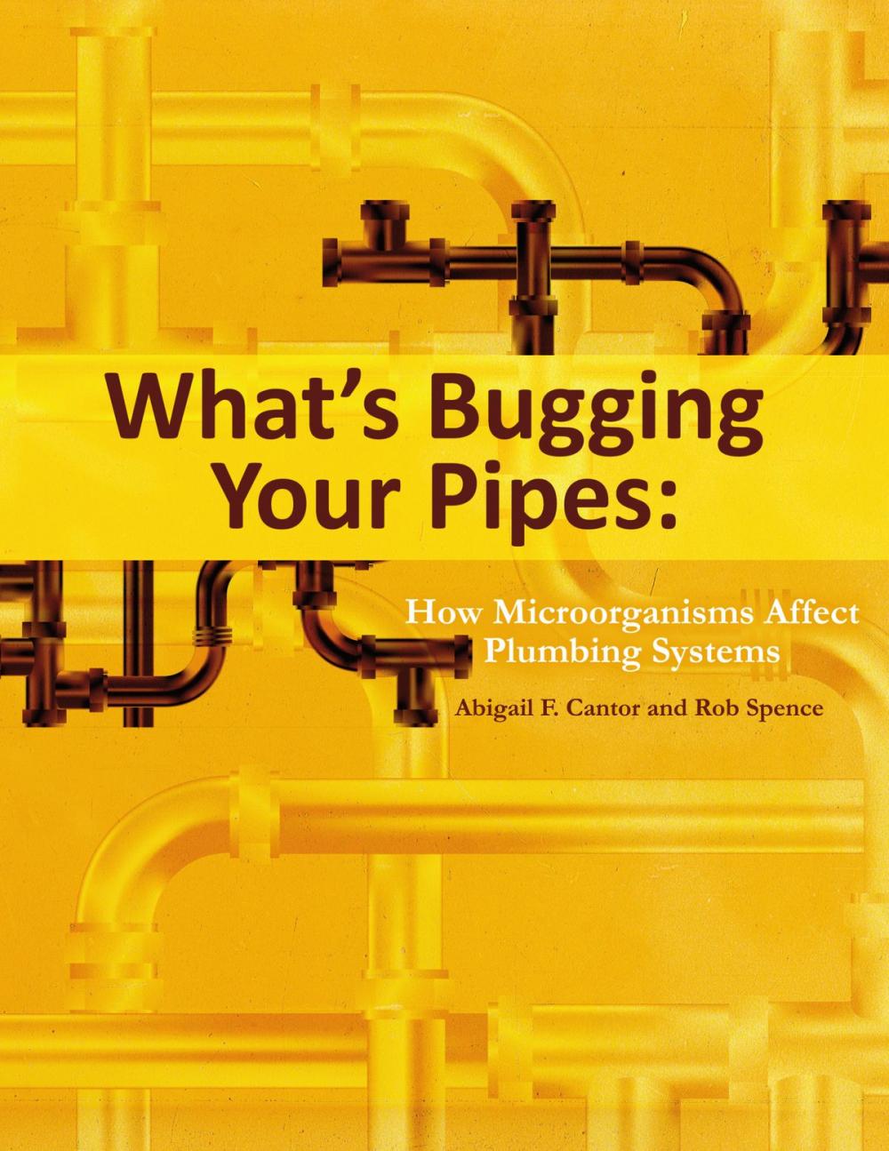 Big bigCover of What's Bugging Your Pipes