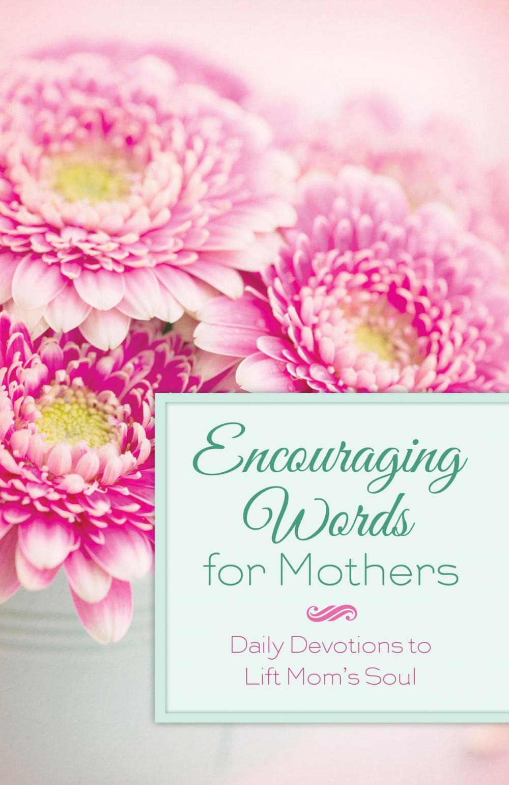 Big bigCover of Encouraging Words for Mothers