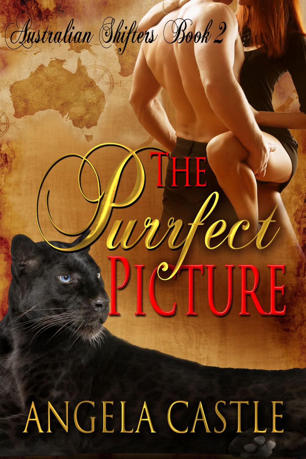 Big bigCover of The Purrfect Picture