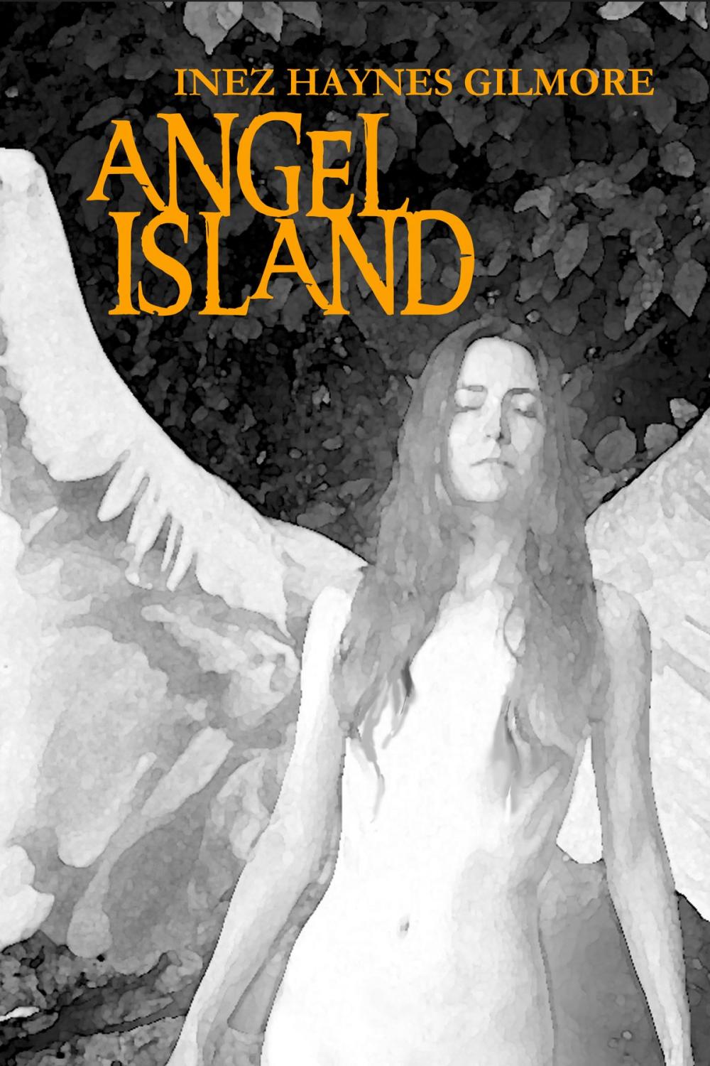 Big bigCover of Angel Island