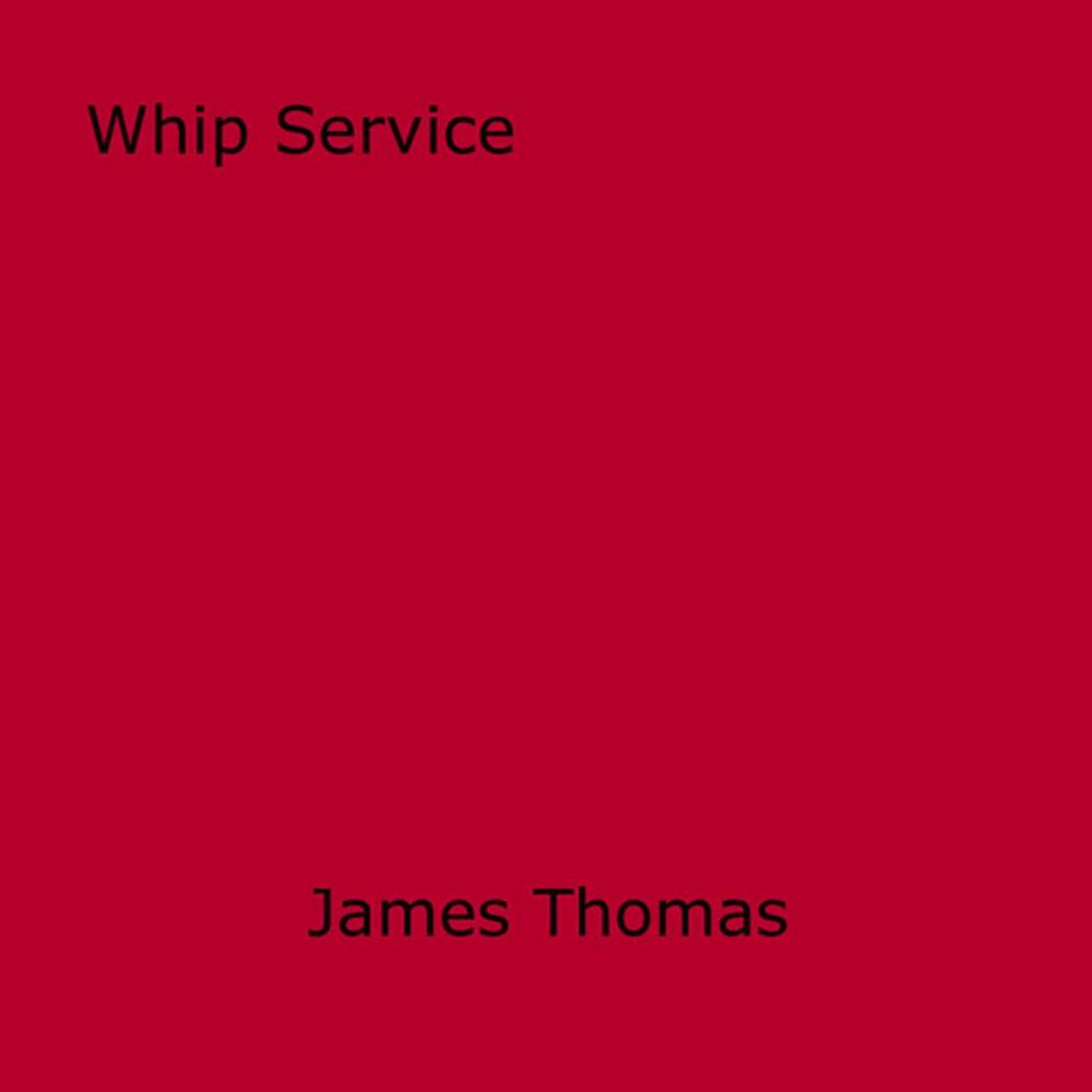 Big bigCover of Whip Service