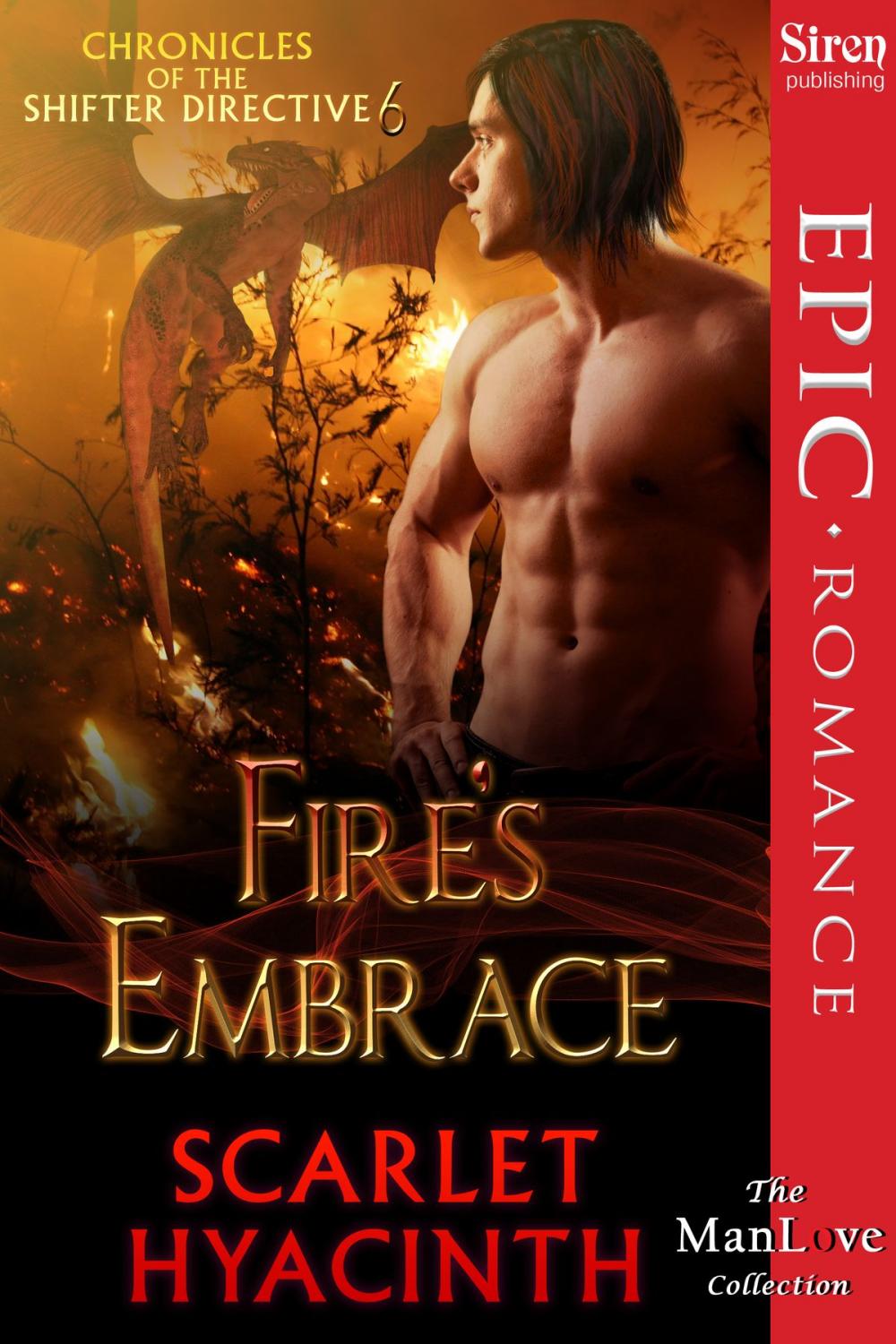 Big bigCover of Fire's Embrace