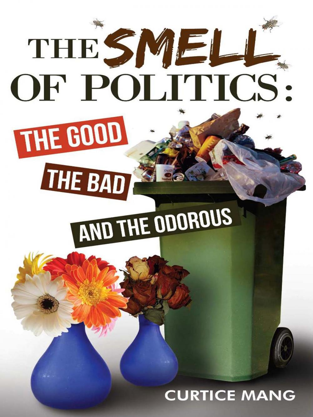 Big bigCover of The Smell of Politics